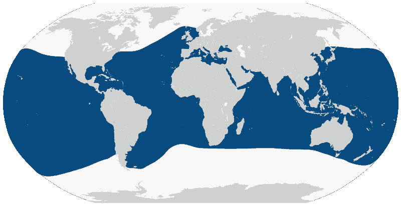 Großer-Tümmler-Tursiops-truncatus-Karte-Verbreitung-Vorkommen