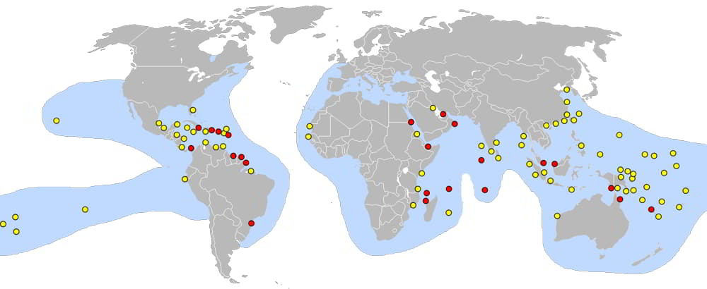 Hawksbill-sea-turtle-Eretmochelys-imbricata-Map-Distribution-Occurrence