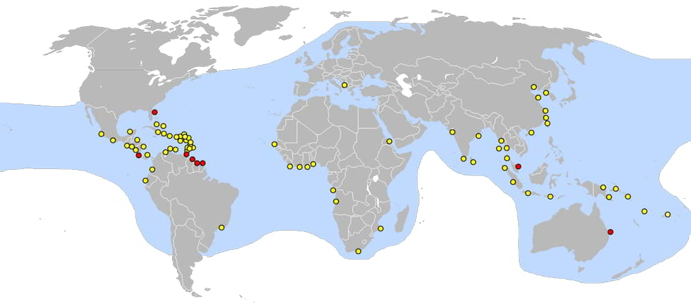 Leatherback sea turtle-Dermochelys-coriacea-Map DIstribution