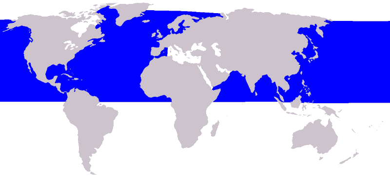 Nördlicher-Zwergwal-minkwal-minkewal-Balaenoptera-acutorostrata-karte-Verbreitung